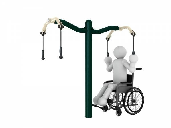Arm Extension Apparatus